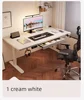 Electric Standing Desk with Drawer, Ergonomic Height Adjustable Sit Stand Office Desk for Home Office Furniture Desks