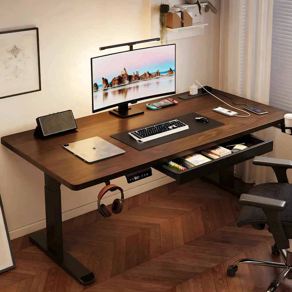 Electric Standing Desk with Drawer, Ergonomic Height Adjustable Sit Stand Office Desk for Home Office Furniture Desks